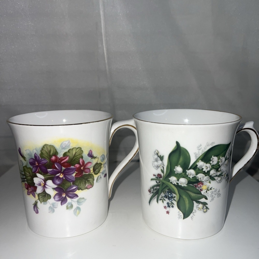 VINTAGE Rosina FINE BONE CHINA TEA CUPS-ENGLAND‎ Set Of 2